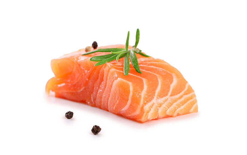 Salmon